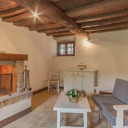 Corbezzolo 5 *